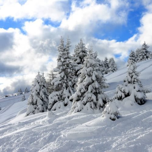 impressionen-vom-hotel-schoenwald-in-vals-suedtirol-gitschberg-jochtall-18