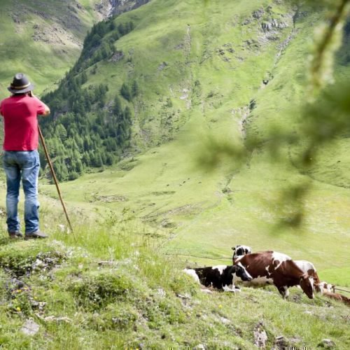 Impressionen vom Hotel Schönwald in Vals/Südtirol