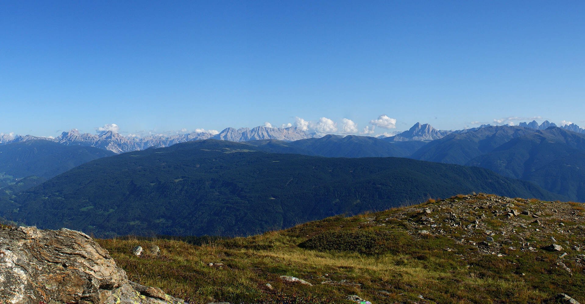 In unserer Almenregion Gitschberg-Jochtal ist der Sommer zu Hause