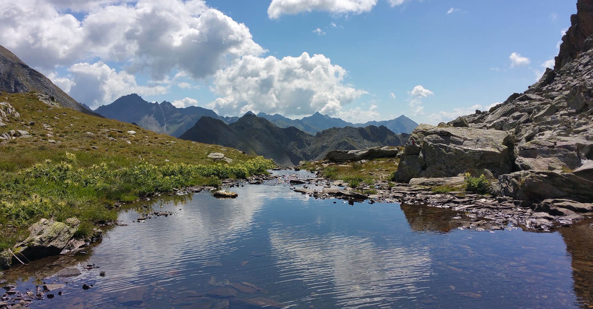 In unserer Almenregion Gitschberg-Jochtal ist der Sommer zu Hause