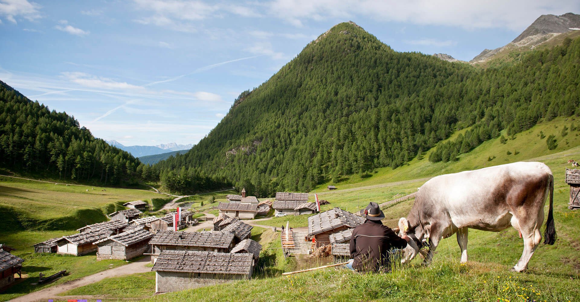 In unserer Almenregion Gitschberg-Jochtal ist der Sommer zu Hause